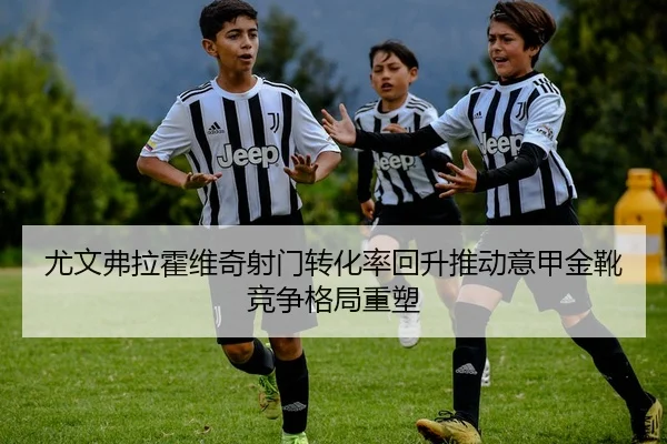 尤文弗拉霍维奇射门转化率回升推动意甲金靴竞争格局重塑